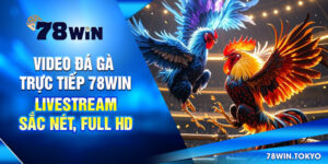 Video Đá Gà Trực Tiếp 78win – Livestream Sắc Nét, Full HD