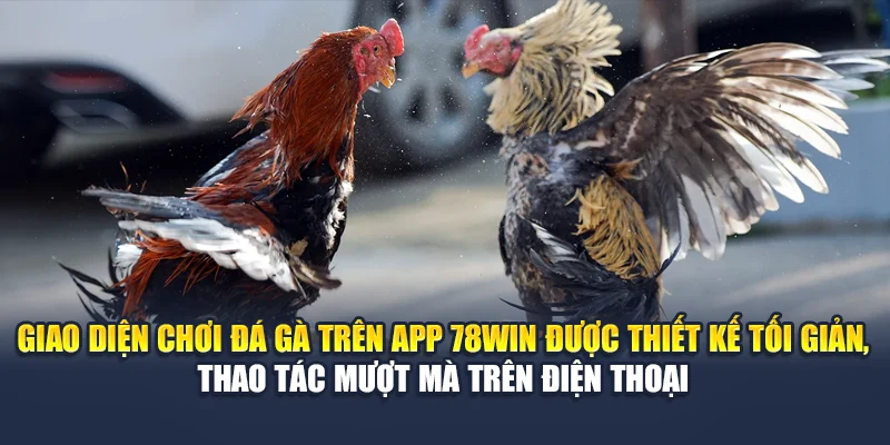 Trải Nghiệm Chơi Đá Gà Trên App Đỉnh Cao Cùng Nhà Cái 78WIN 5 Giao diện chơi đá gà trên app 78WIN được thiết kế tối giản, thao tác mượt mà trên điện thoại