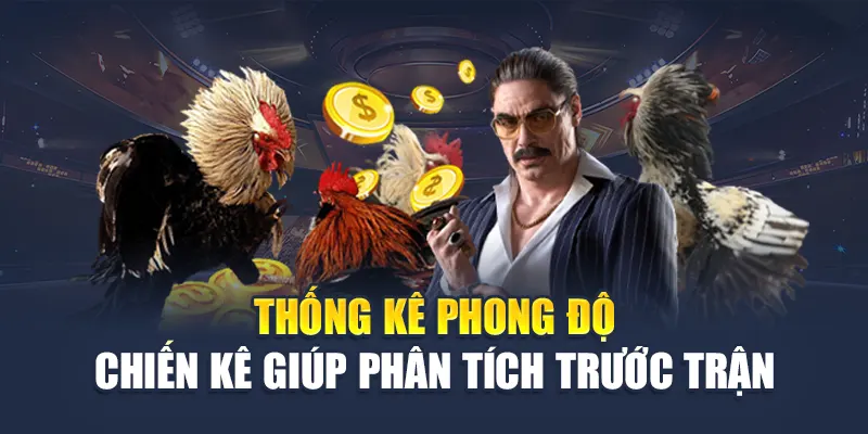 Trải Nghiệm Cược Đá Gà Live Kịch Tính Tại Nhà Cái 78WIN 7 Thống kê phong độ chiến kê giúp phân tích trước trận