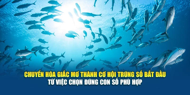 Mơ Thấy Cá Và Đánh Số Gì? Gợi Ý Chính Xác Nhất 2025 6 Chuyển hóa giấc mơ thành cơ hội trúng số bắt đầu từ việc chọn đúng con số phù hợp
